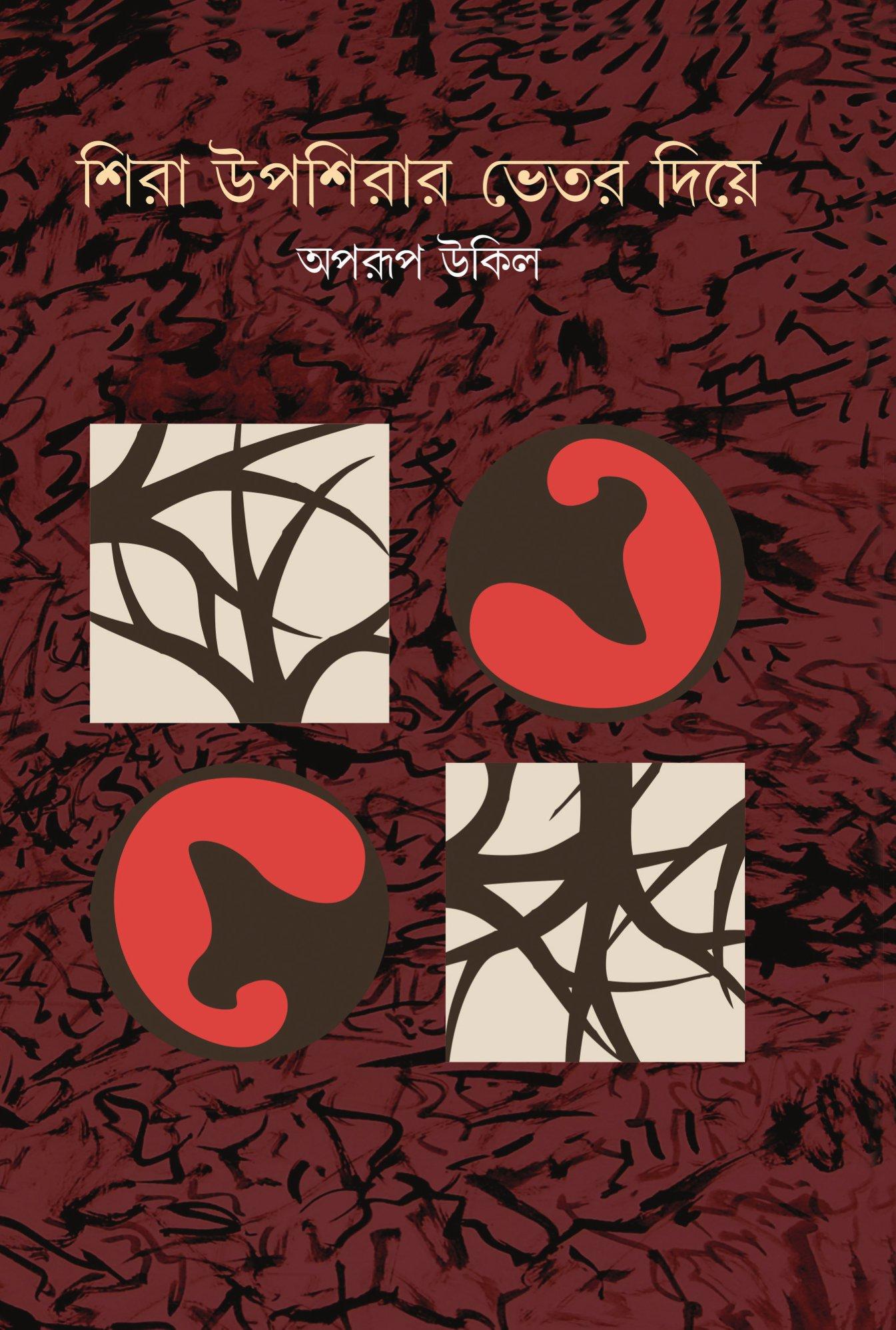 শিরা উপশিরার ভেতর দিয়ে