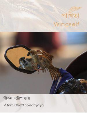 পাখিতা