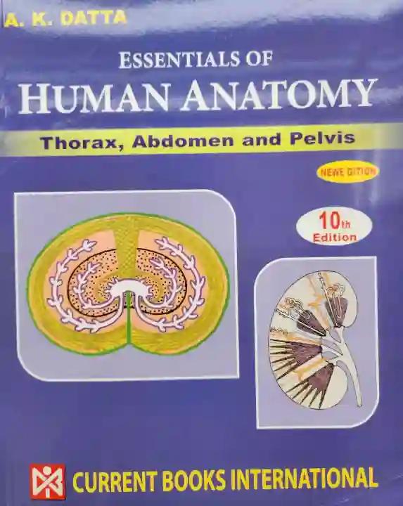 Essentials of Human Anatomy Thorax, Abdomen and Pelvis