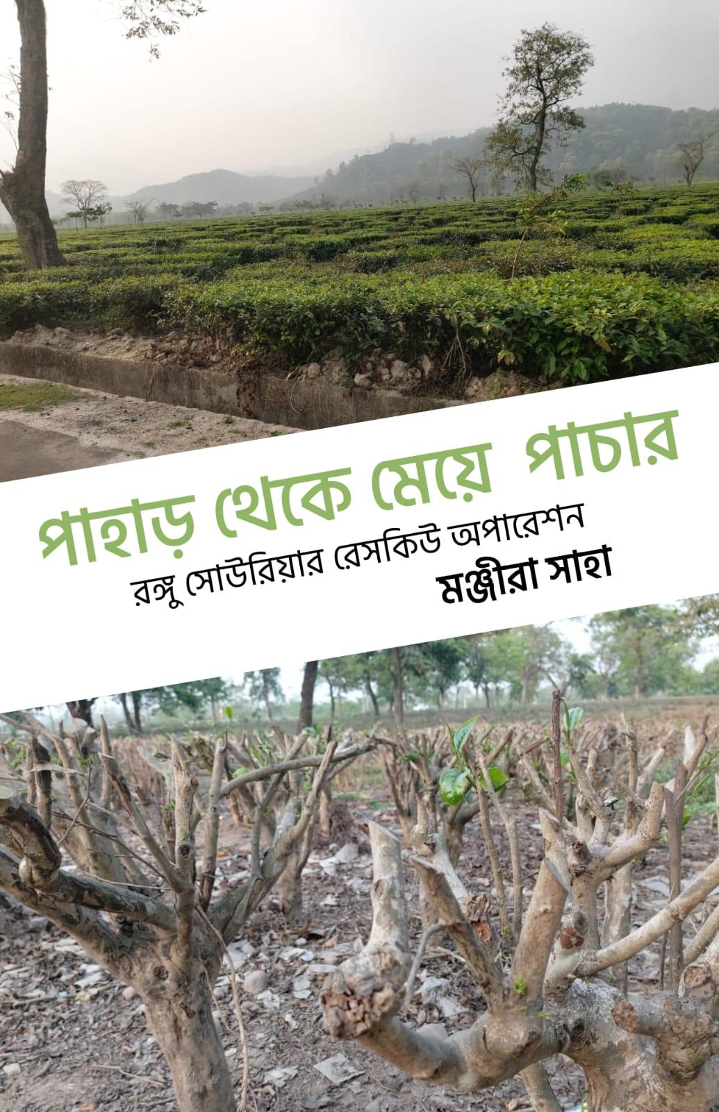 পাহাড় থেকে মেয়ে পাচার