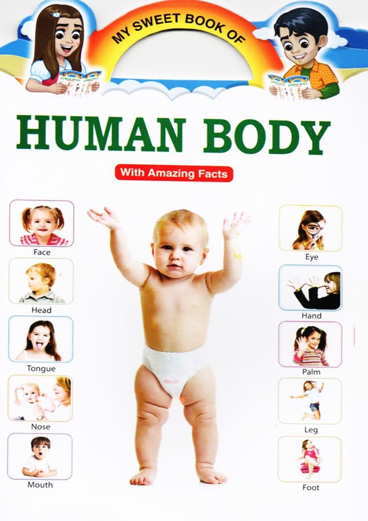 My Sweet Book of Human Body
