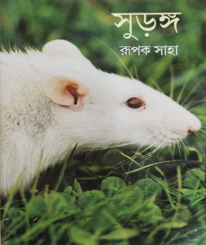 সুড়ঙ্গ