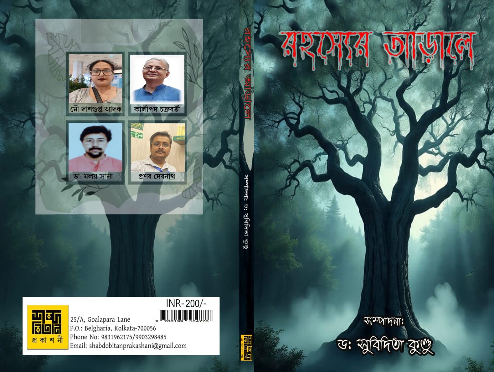 রহস্যের আড়ালে