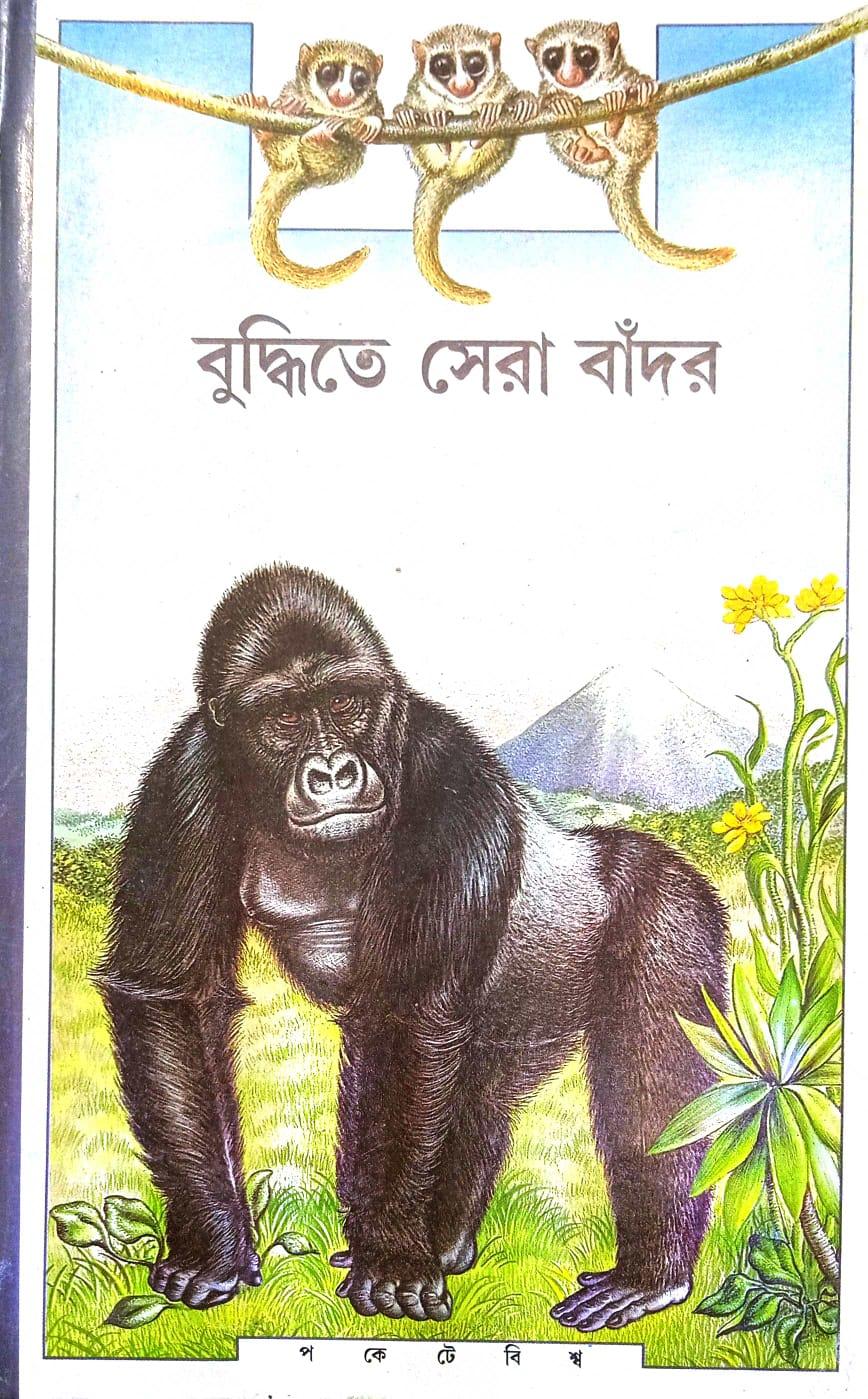 বুদ্ধিতে সেরা বাঁদর