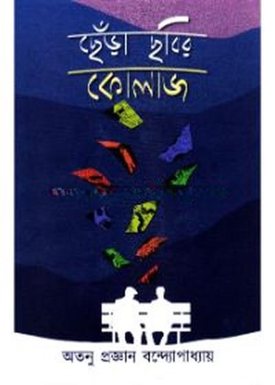 ছেঁড়া ছবির কোলাজ