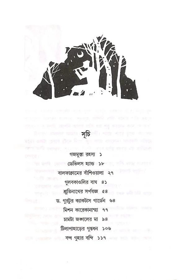 বইয়ের ভেতরের পাতা ১