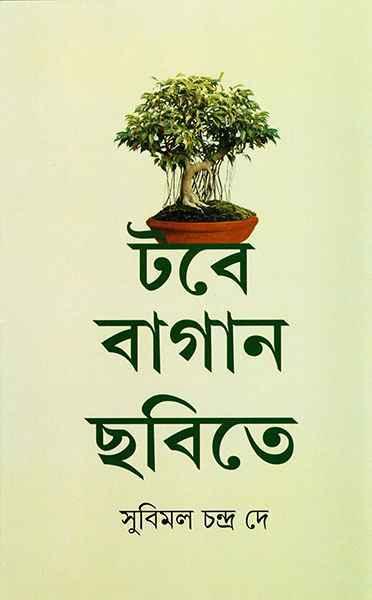 টবে বাগান ছবিতে