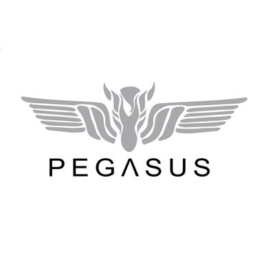 PEGASUS